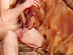 Incesto familiar con el perro