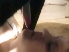 hot girl suck and eat dog dick