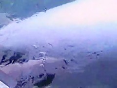 Andy and Big Dane Dog Cock 04