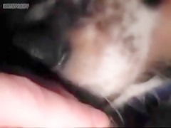 Thumb 12
