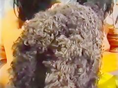 asian versus bernard