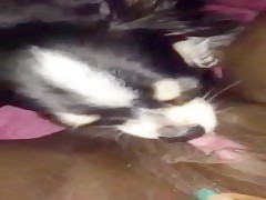 adorable pussy eater 2