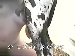 Marsked Girl with Harlequin Dane