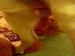 I fucked this dog cock