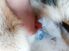 Thumb 4