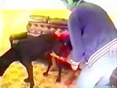 Dog Maid