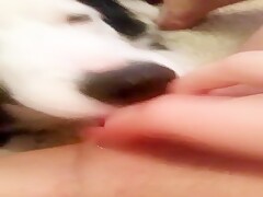 TEEN GIRL PISSES RIGHT IN DOGS FACE AS HE EATS HER PUSSY