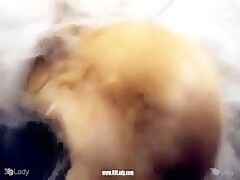 爱好世界