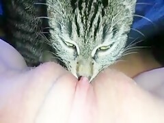 Cat Tounge