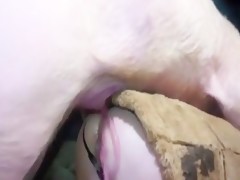 sexy and pork